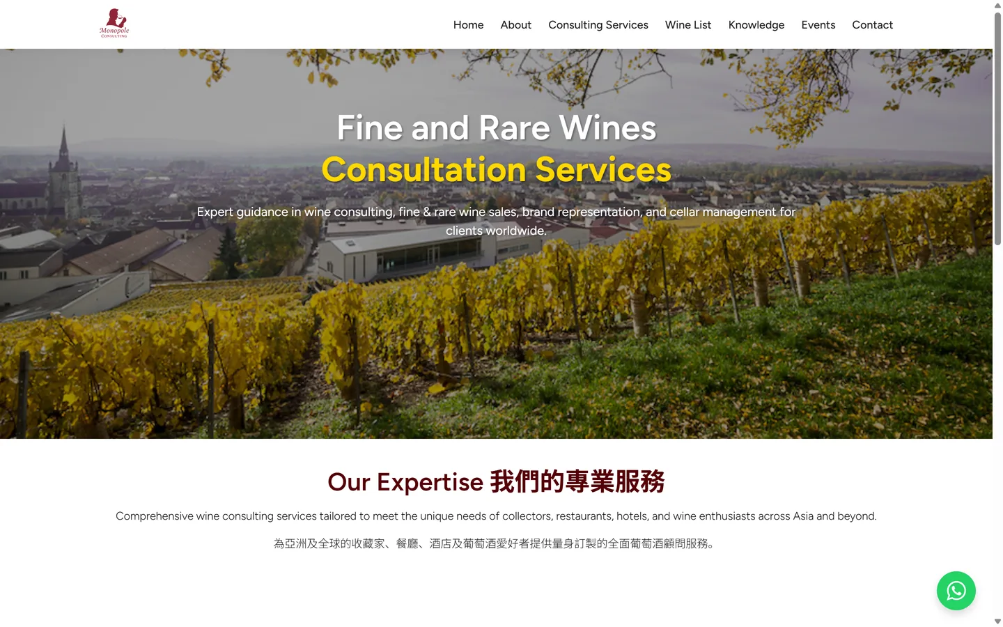 Monopole Consulting website